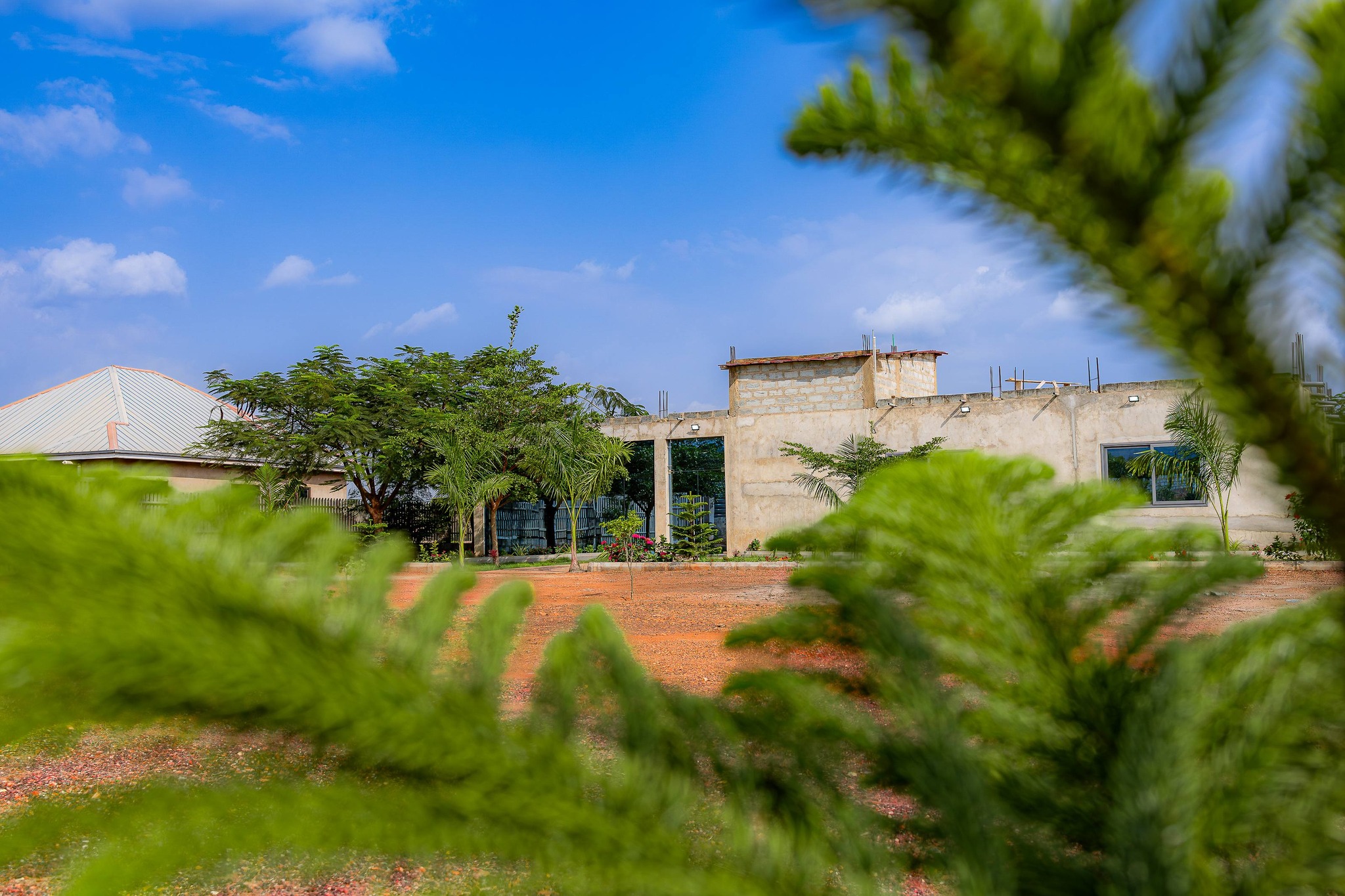 600914732 1509476397850176 4094269710634760487 n