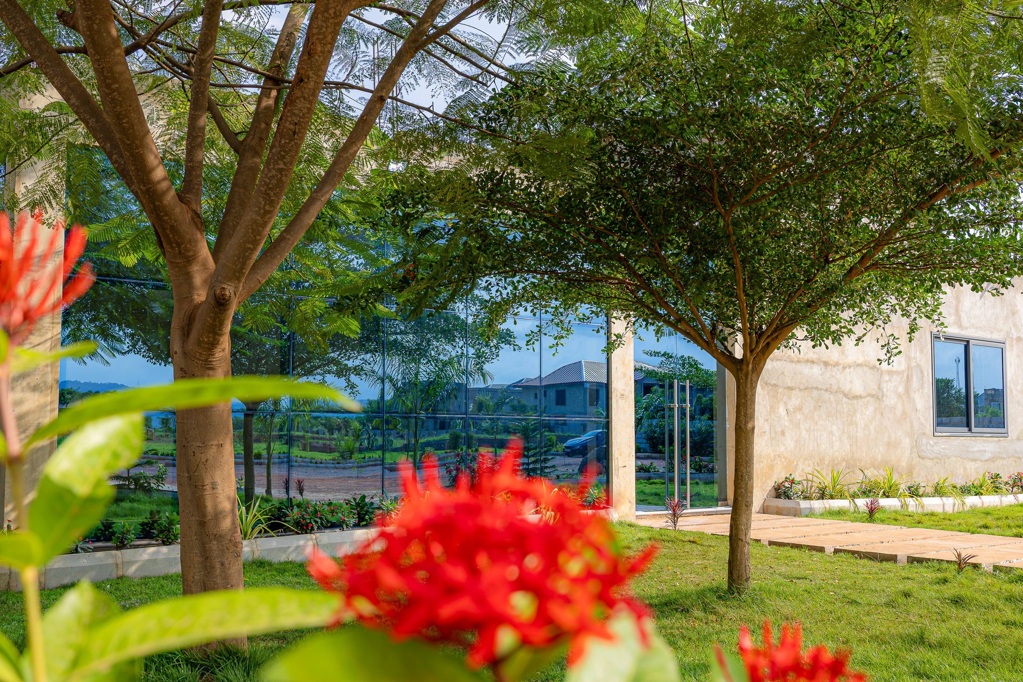 600322693 1509476074516875 4431398606117254228 n